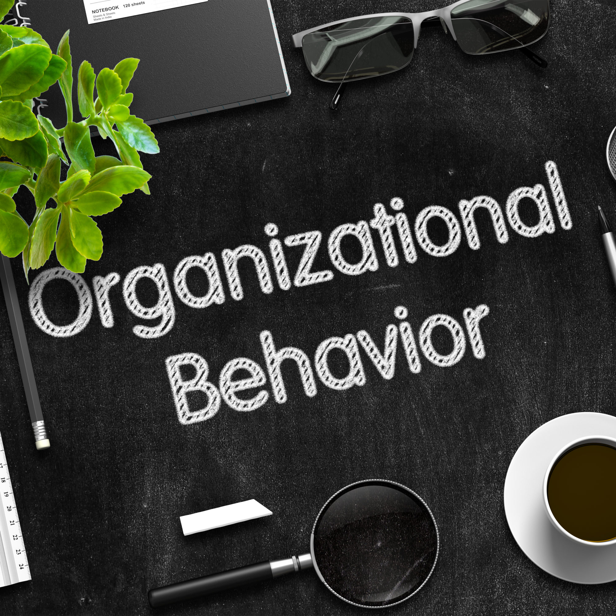 organizational behavior phd topics